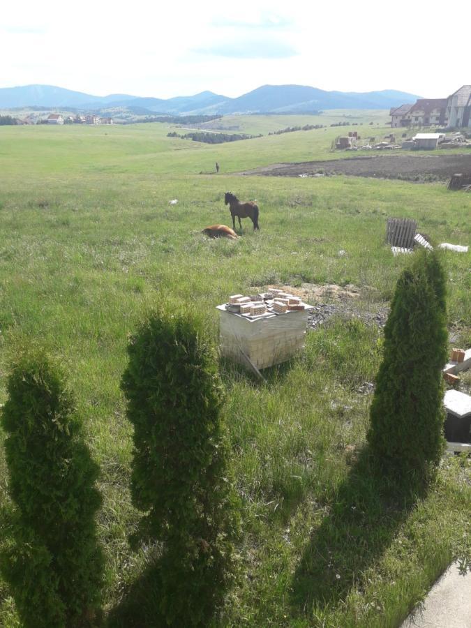 Apartman Selakovic Zlatibor Exterior foto